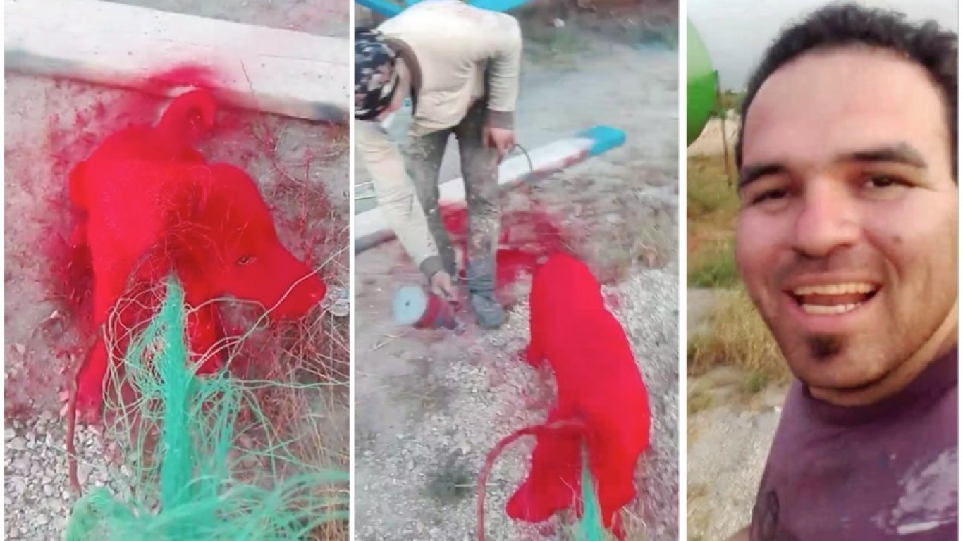 Punish idiots who sprayed dog in toxic paint and laughed the entire time!