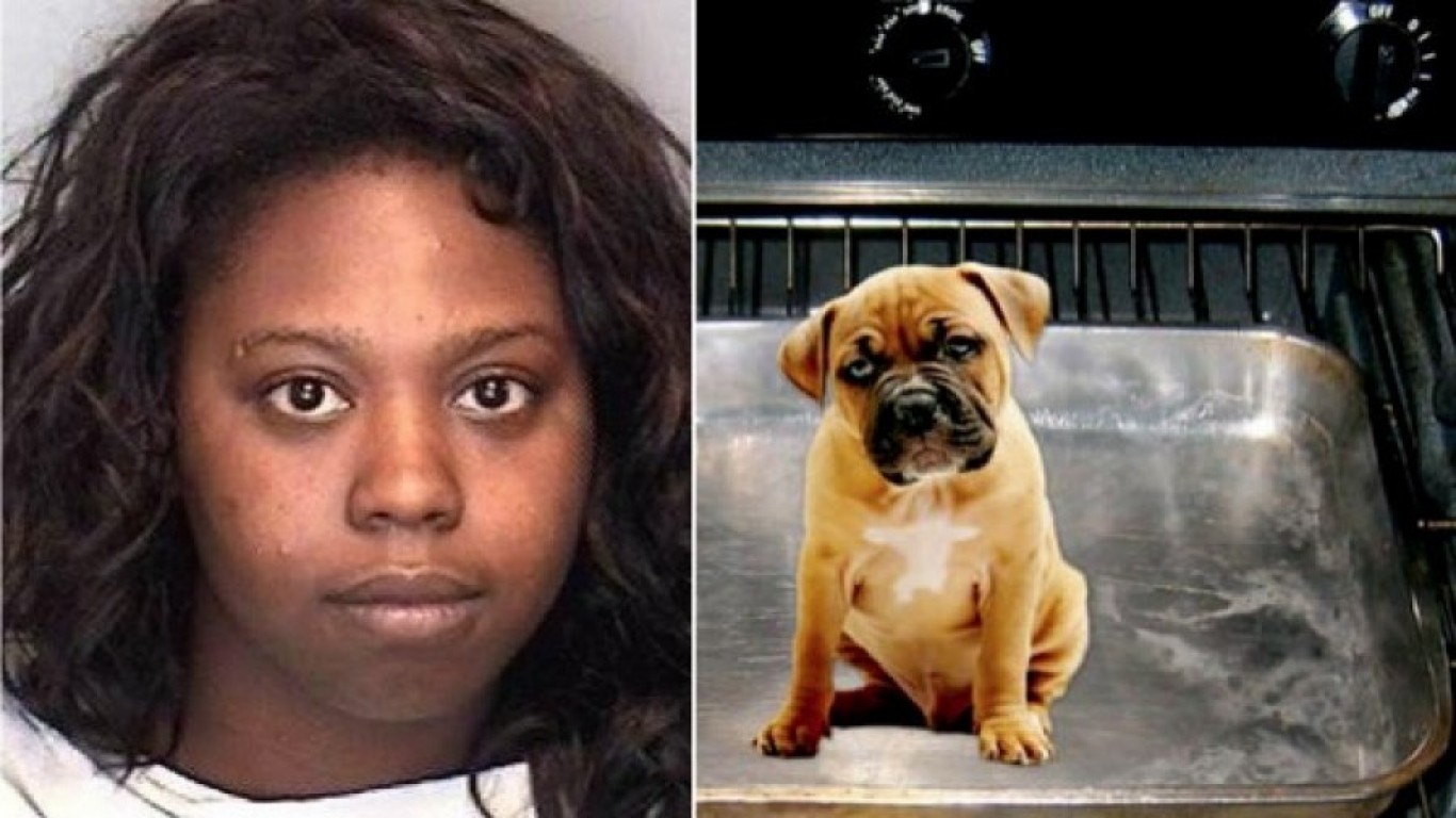 Woman that baked puppy to death in the oven gets no punishment!