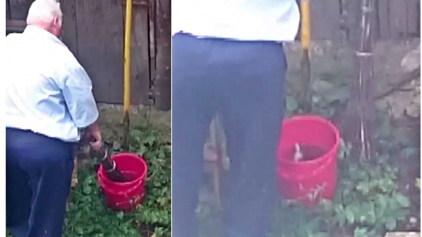 We seek punishment for man who drowned kittens in a bucket!