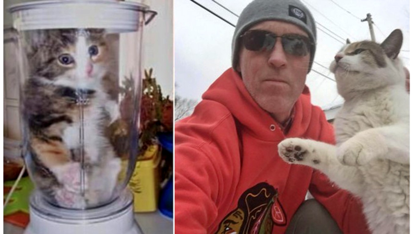 Apprehend notorious cat abusers and Internet trolls Jamie Card and Joey Hennessy now!