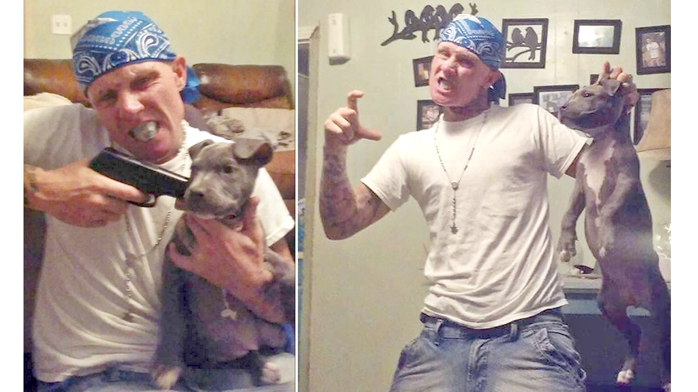 Punish coward that abused his dog and took photos!