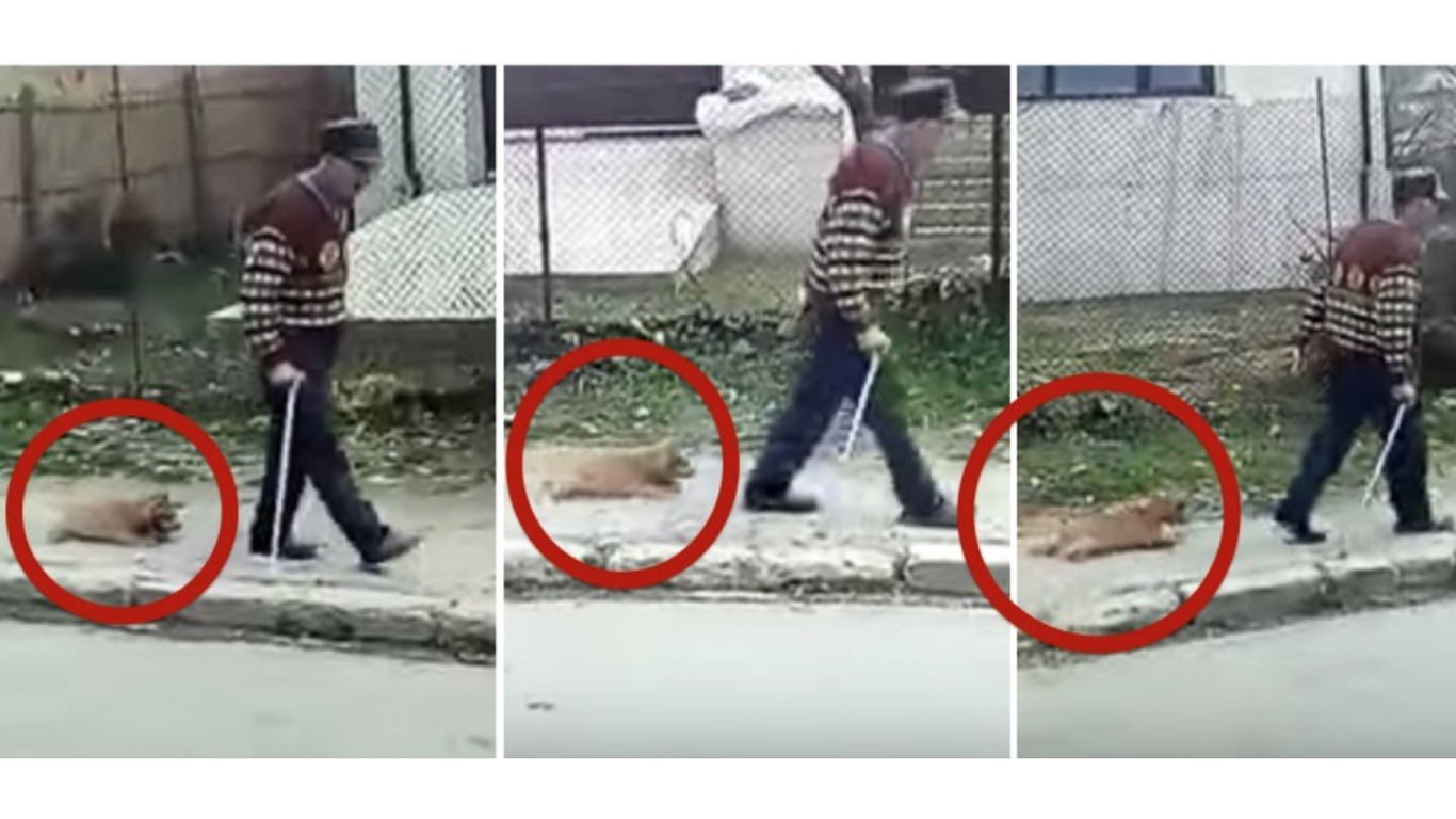 Justice for dog dragged behind leash by elderly owner!