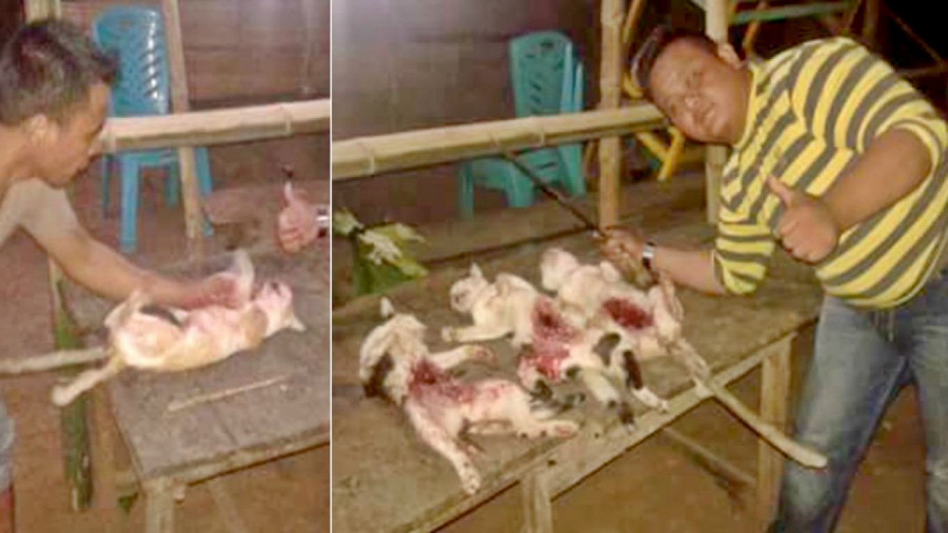 Prosecute monsters that barbecued cats for dinner and laughed!